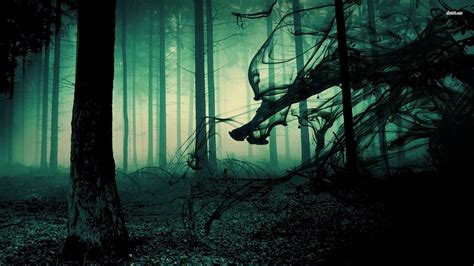 Forest Dark Una historia sobre la naturaleza profunda y los fantasmas del pasado